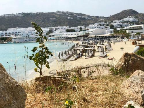 Mykonos Le Grand Bleu Beachfront Suite