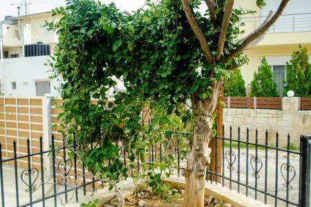 Apartamento Sun By The Sea