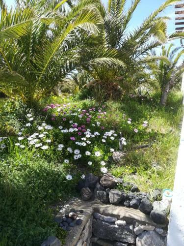 Villa Hones - Relax House