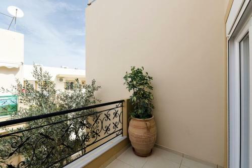 Superior Apartment 100m From The Beach