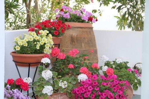 Zorzis Hotel -adults Only