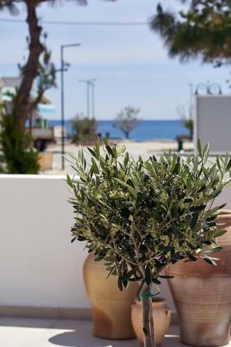 Sia Mare Seaside Apartments