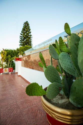 Margarita Luxury Apartment 2