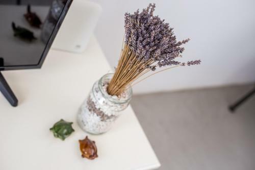 Euphoria Luxury Apartment