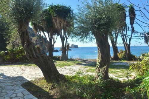 Beach Villa Ampelaki - Ampelaki Beach, Paleokastritsa, Corfu