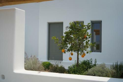 Apartamento Alio Naxos Luxury Suites