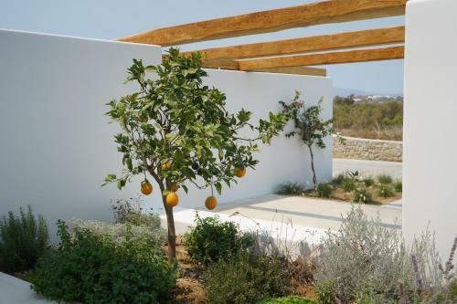 Apartamento Alio Naxos Luxury Suites