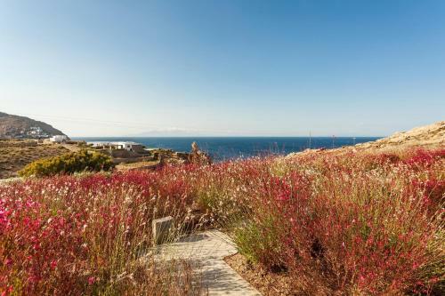 Anarina Villas & Suites Mykonos Elia Beach