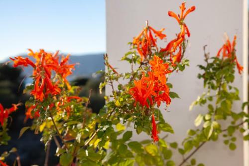 Apartamento Villa Stamatis