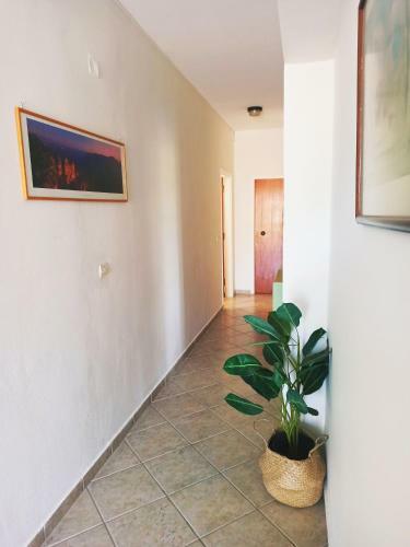 Dora's Apartments