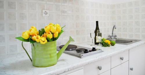 Apartamento Soulis Studios