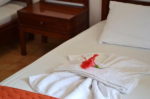 Apartamento Leonidas Studios