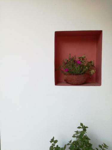 Tony Studio & Apartments