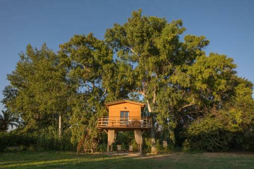 River Treehouse