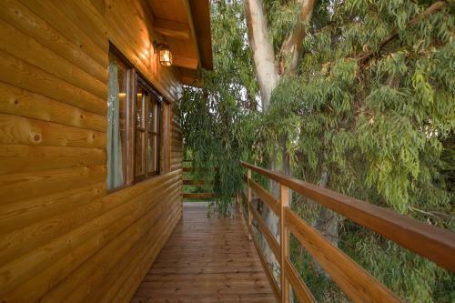 River Treehouse
