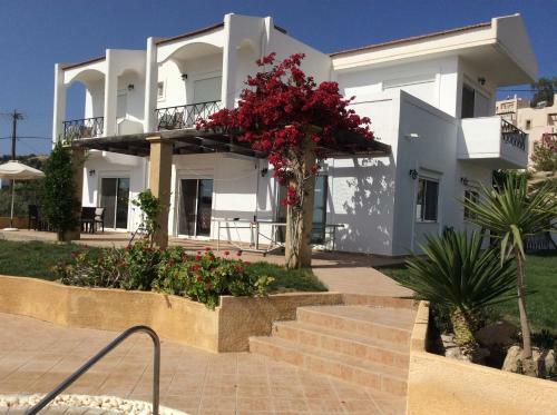 Villa Amadeus