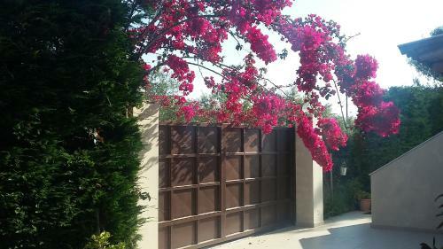 Athina's Villa