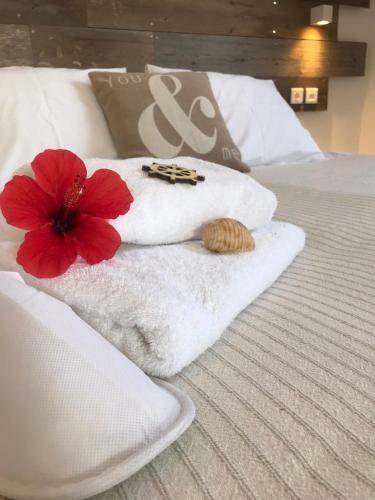Apartamento Ammos Luxury Studios