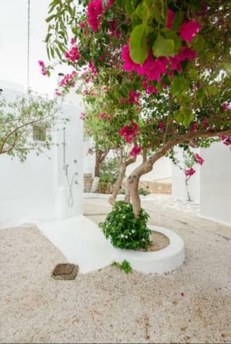 Marousso's Seafront House