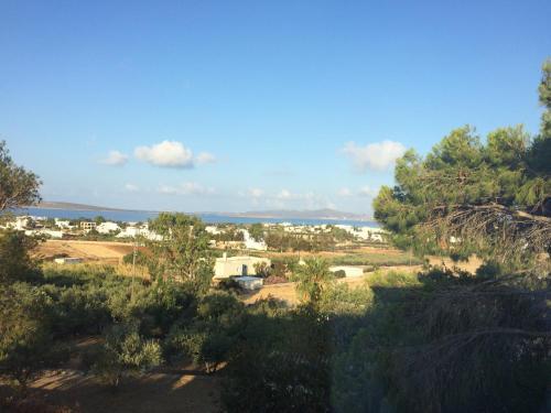 Sunset View