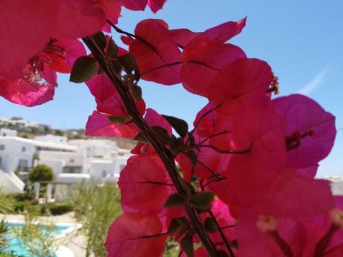 Villa Our Beautiful House In Ornos, Mykonos