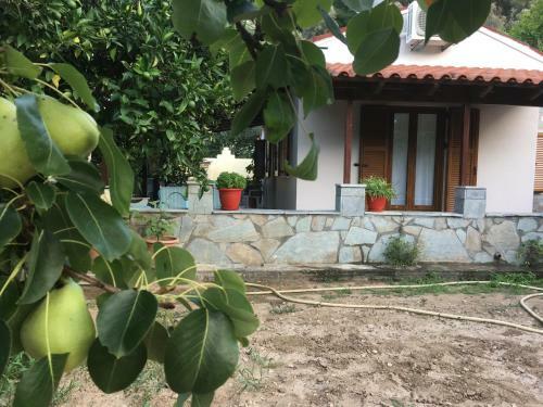 Villa Ermilia