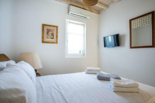 Stunning Villa With Pool In Mykonos