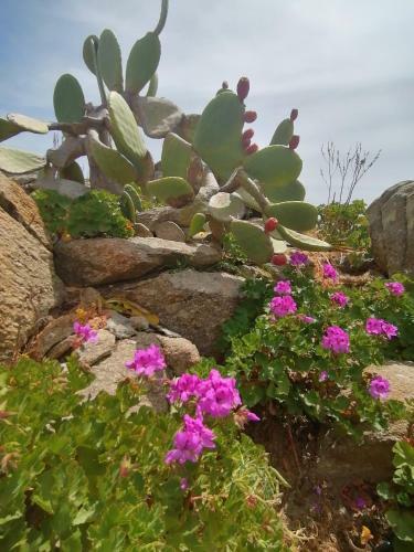 Apartamento Elegant Studio With Pool And Private Beach.