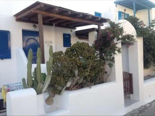 Mykonos Ornos Beach