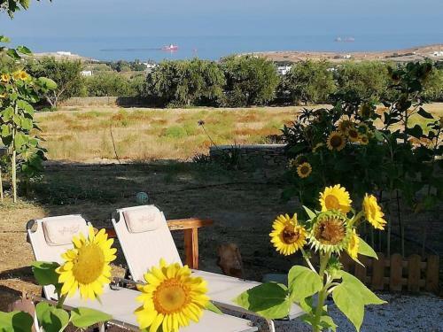 Villa Aspries With Stunning Sunset Sea View