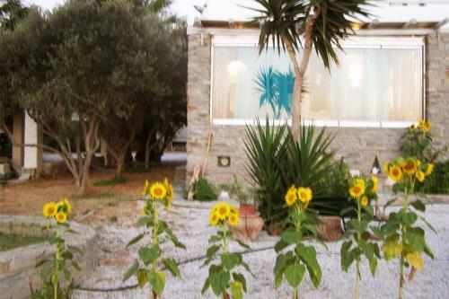 Villa Aspries With Stunning Sunset Sea View