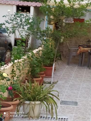 Apartamento Giota's City House
