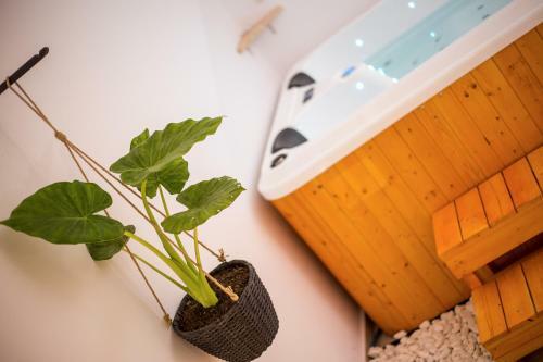Casa De Raphael - Luxury Spa Apartment