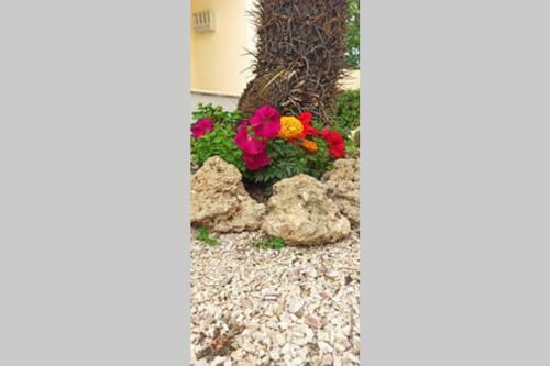 Apartamento Petunia Garden View