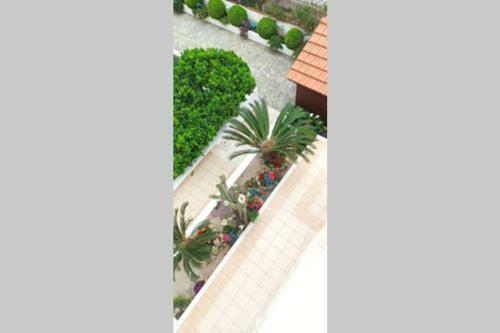 Apartamento Petunia Garden View