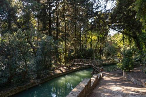 Rodini Park Apartment