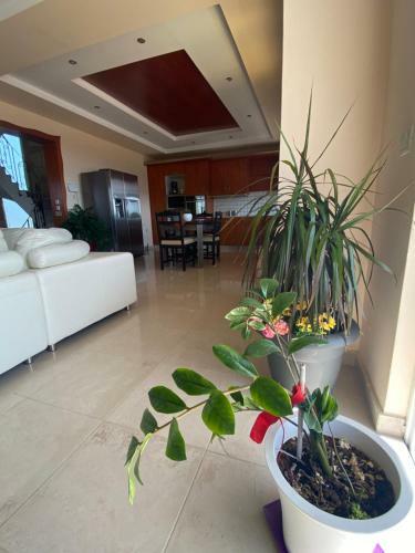 Angelos House