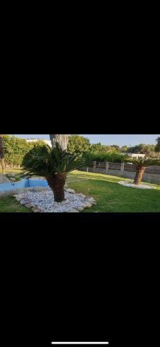 Angelos House