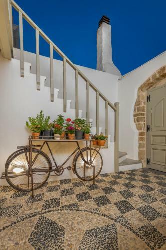 Apartamento Amarada City Suites