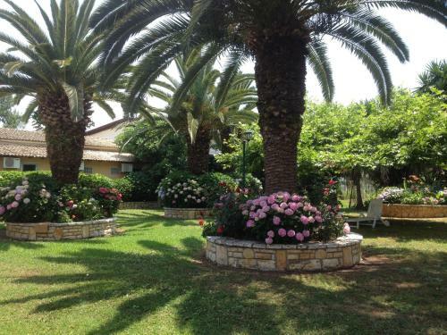 Alexandra's Studios And Apartments