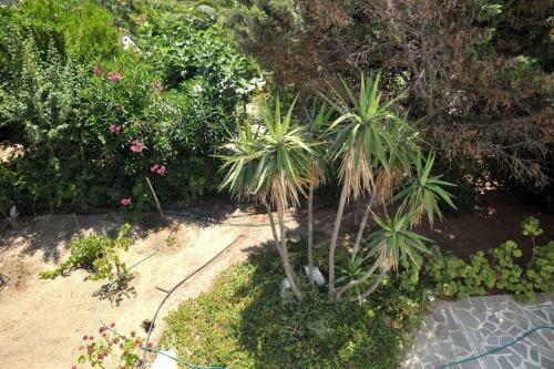 Villa Rita's Blue Naxian Dream
