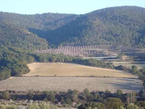 Casa Rural Mas�a Barbera