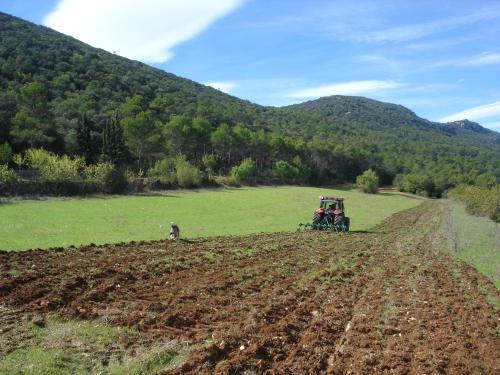 Casa Rural Mas�a Barbera