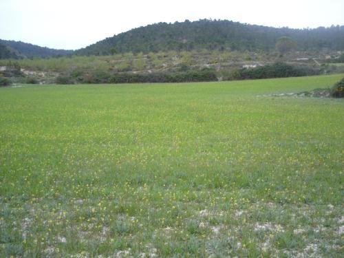 Casa Rural Mas�a Barbera