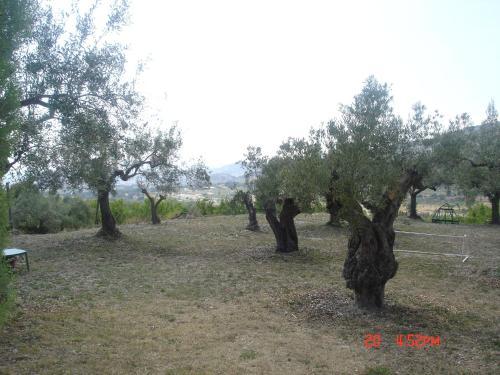 Casa Rural Mas�a Barbera