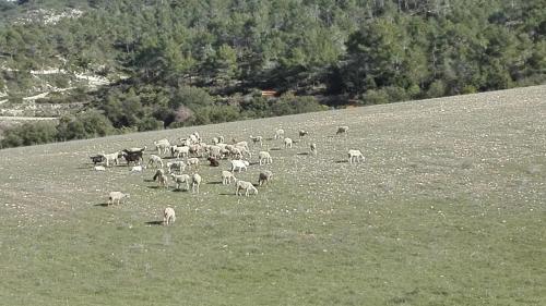 Casa Rural Mas�a Barbera