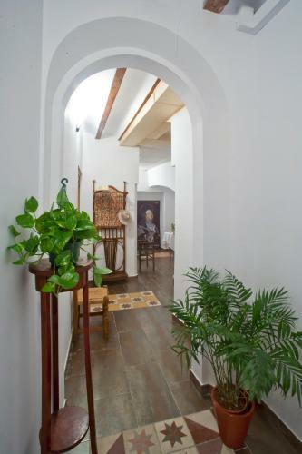 Apartamento La Casa Del Balc�n
