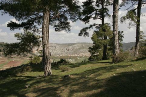 La Sabina Casa Rural