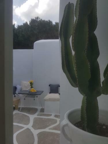 Vrissi House Garden