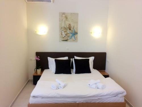 Apartamento Posto Studios